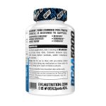 بی سی ای ای  5000 ای وی ال EVL BCAA 5000 - تصویر 3