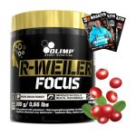 پمپ ردوایلر فوکوس الیمپ Olimp R-Weiler Focus